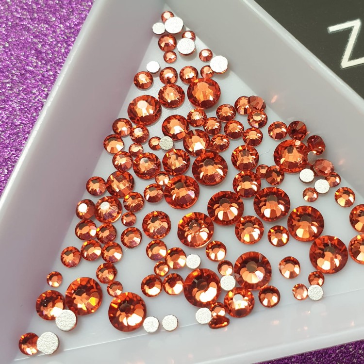 coral-zoom.jpg