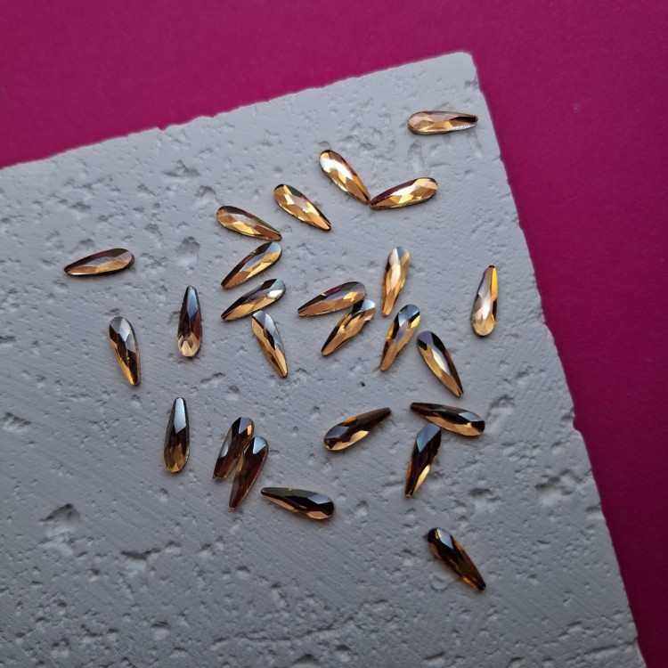 20260303_103049.jpg