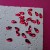 20260303_115623.jpg